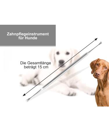 Dog Scaler Tartar Remover for Pets - Stainless Steel Teeth Cleaning Tool | Wing Shape Dental Care - Buy Online on GoSupps.com