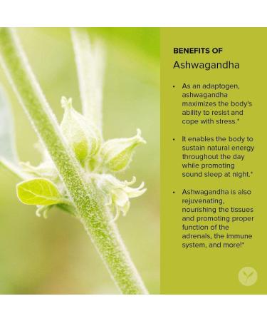 Banyan Botanicals Organic Ashwagandha Supplement - Adrenal Support, Immune Health, Stress Relief - 90 Tablets, Non-GMO, Vegan - Buy Online on GoSupps.com