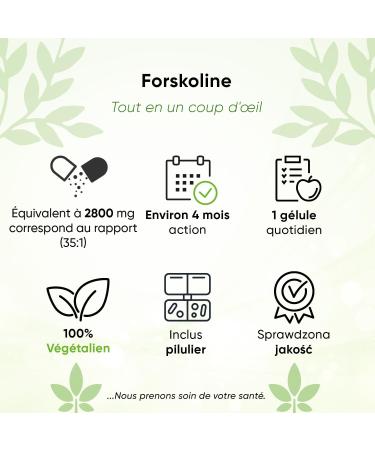 Forskolin - 120 capsules - supply for 4 months - with pill box - 2800 mg (equivalent to 35:1 forskohlii powder) - high dose - vegan - laboratory tested - Buy Online on GoSupps.com