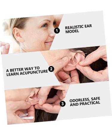 Tofficu 1 Pair Silicone Ear Picking Practice Tunnels | Simulated Auditory Meatus Model for Ear Display | Artificial Display Ear Mold - Silica Gel - Buy Online on GoSupps.com