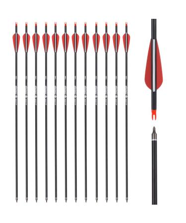 Carbon Arrow Hunting Arrows with 100 Grain Removable Tips for Archery Compound & Recurve & Traditional Bow Practice Shooting (Pack of 12) 28 inch