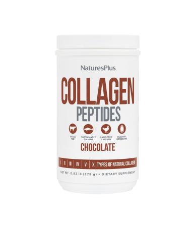 NaturesPlus Collagen Peptides Chocolate - 0.83 lb Powder - Hair Skin Nail & Joint Health Immune System Support - Non-GMO Gluten Free - 14 Servings Chocolate 14 Servings (Pack of 1)