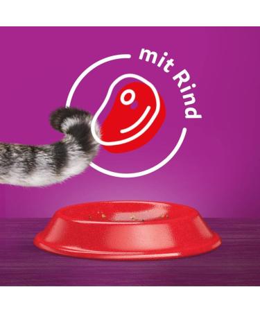 Buy Whiskas Adult 1+ Dry Cat Food - Beef 5x800g Packs | Premium Drying Cat Food for Adults - Various Packaging Options - Buy Online on GoSupps.com