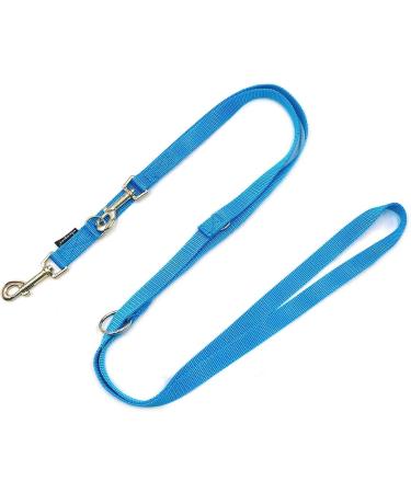 Adjustable Dog Leash Double Leash for Large Dogs - Turquoise 20mm 2.00m - Buy Internationally - Buy Online on GoSupps.com