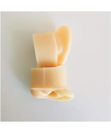 Silicone Ear Model for Acupuncture - Life Size Human Ear Model Lifelike Artificial Ear Model for Science Class Teaching Display Studs Earring Display Props - Buy Online on GoSupps.com