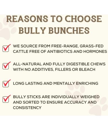 Bully Bunches Premium12 Inch Monster Odour-Free Bully Sticks for Large & Giant Dogs - Long Lasting Chews for Oral Care - All Natural & Single Ingredient 100% Beef Dog Treats Rawhide Free (2 Pk) 12 Inch 2 Pack - Buy Online on GoSupps.com