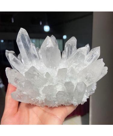 Natural Crystal Rough Crystal 1000g Natural Clear White Quartz Crystal Cluster Point Stone (Size : 1000g) - Buy Online on GoSupps.com