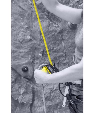 Salewa Unisex ERGO Belay System - Adult Night Color One Size EU UNI | Premium Climbing Gear for Safety - Buy Online on GoSupps.com