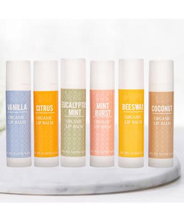 ACSUSS Hydrating Lip Balm Set of 6 | Soothing Formula with Natural Oils for Dry Cracked Lips | Long Lasting Moisturizing Lip Care White One Size One Size White - Buy Online on GoSupps.com