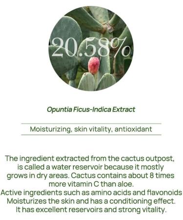 Buy Cactus Peeling Pore Toner | Gentle Exfoliation & Hydration for All Skin Types - International Shipping Available - Buy Online on GoSupps.com