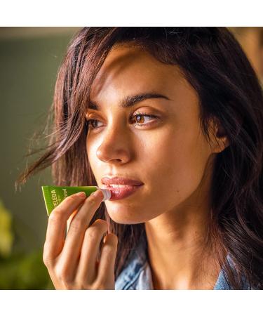 Weleda Bio Skin Food Light Moisture Cream & Lip Butter Bundle - Natural Lip Care for Dry Lips with Beeswax & Sunflower Oil | Shop Now! - Buy Online on GoSupps.com