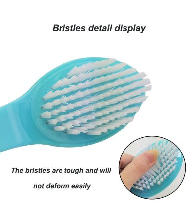 Foot Stone Brush Exfoliating Shower Scrubber with Pumice - Blue | 1 Count - Buy Online on GoSupps.com