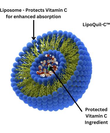 Advanced Bionetix Liposomal Vitamin C Supplement | LipoQuil-C Enhanced Absorption Technology | 120 Capsules 1000mg High Dose Fat Soluble Vita C | Immune Support Collagen Support - Buy Online on GoSupps.com