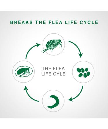 Advantage II Flea Treatment for Small Cats (5-9 lbs) - 2-Pack | Fast-Acting Flea Prevention for Small Cat Breeds - Buy Online on GoSupps.com