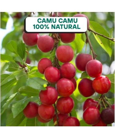  INKANAT Camu Camu powder ORGANIC 150g - INKANAT - Buy Online on GoSupps.com