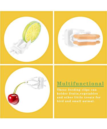 Bird Cage Food Holder Clips for Parrot, Budgie, Cockatoo - Set of 6 | Feeder Clip for Fruit, Vegetable, and Seed Treats - Ideal for Macaw, Cockatiel, Conure - Buy Online on GoSupps.com