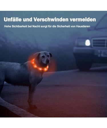 Nepfaivy Luminous Hand Hund USB Charging Dog Collar Waterproof LED Collar with Adjustable Length & 3 Safety Lighting Modes Orange Silicone for Dogs - Buy Online on GoSupps.com
