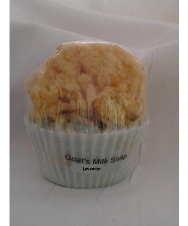 Goat's Milk MINI Cupcake Soap w/embedded Natural Sea Sponge (Lavender)