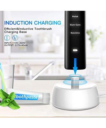 Philips Sonicare Electric Toothbrush Charger Base - Replacement HX6100 HX3000 HX6000 HX8000 HX9000 Series - Waterproof 3.6ft Cable - Buy Online on GoSupps.com