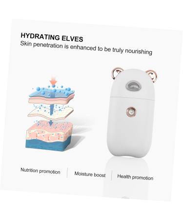 NOLITOY 1pc Beauty Humidifier Portable Electric Aroma Face Sprayer The Face Moisturizer 10.3X5.5CM - Buy Online on GoSupps.com