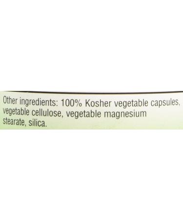 Buy Bluebonnet Bilberry Fruit Extract 120 Veg Capsules - Standardized Nutrition - Buy Online on GoSupps.com