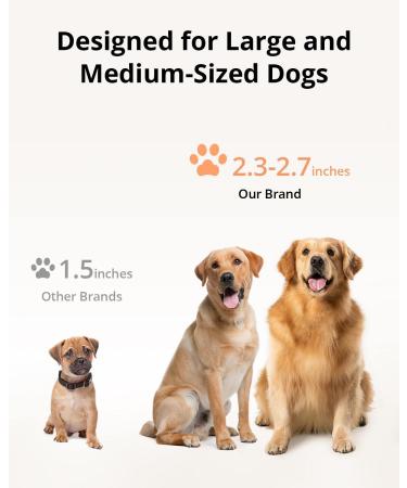 eufy Pet Automatic Dog Paw Cleaner - Portable Electronic Washer with Soft Bristles | Multi-Layered Muddy Paw Cleaner for Large & Medium Dogs - Waterproof Design | Long-Lasting Charge - Buy Online on GoSupps.com