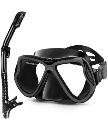 Greatever Dry Snorkel Set,Panoramic Wide View,Anti-Fog Scuba Diving Mask,Professional Snorkeling Gear Black Adults