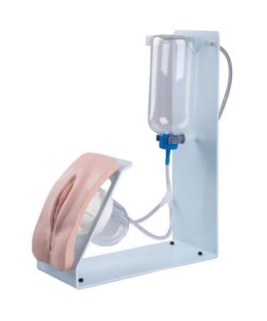 3B Scientific 1020231 Catheterization Simulator Basic Female