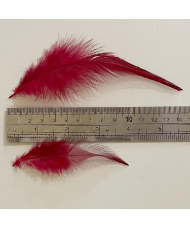 100pcs Red Rooster Saddle Hackle Feathers 5-7 Inch for Crafts & Jewelry Making - Buy Online on GoSupps.com