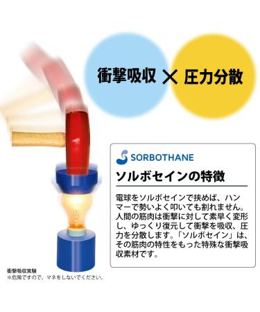 Bunion & Bunionette Stretcher - Toe Pain Relief Support Foot Separators & Straightener - International Shipping Available - Buy Online on GoSupps.com