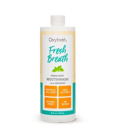 Oxyfresh Fresh Breath Fresh Mint Mouthwash   Dentist Recommended for Long-Lasting Fresh Breath & Healthy Gums | Alcohol & Fluoride Free (1-16 oz Bottle) 16 Fl Oz (Pack of 1)