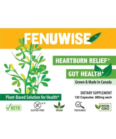 FenFiber Natural Fenugreek Fiber Capsule Supplement for Acid Relief - Premium Vegan Dietary Supplement Supporting Digestive Health 120 Count - Buy Online on GoSupps.com