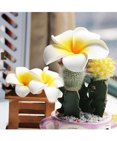 25pcs Plumeria Hair Clips - Frangipani Hairpins for Girls | Hawaiian Party Accessories - International Shipping - Buy Online on GoSupps.com