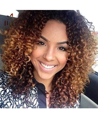 Curly Hair Wigs For Black Women Natural Hair Wigs For Black Women Curly Wig Kinky Curly Afro Wigs Human Hair Lace Front Short Fluffy Wavy Full Synthetic Wigs14" 310g(1002Brown)