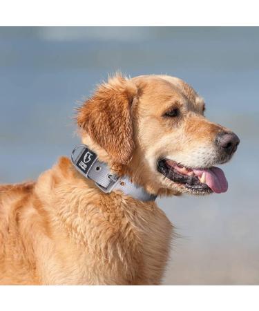 Buy Tspro Tactical Dog Collar - Military Quality 3.8cm Wide Strong & Adjustable L Size (52-60cm) - Silver - Buy Online on GoSupps.com