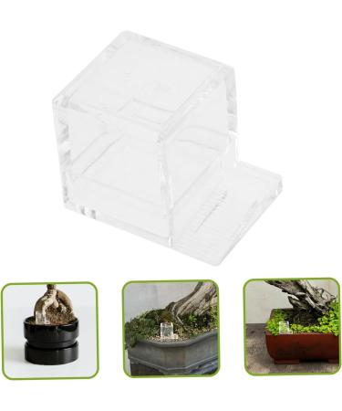 Toddmomy Pet Water Feeder Ants Feeding Bowl Ants Watering Cup Small Ants Feeder Ants Feed Bowl Plastic 1 count (Pack of 1) - Buy Online on GoSupps.com