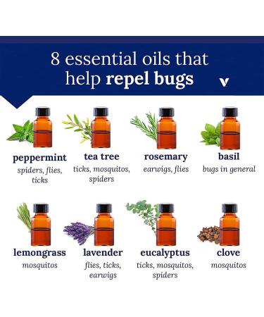 Now Foods Organic Eucalyptus Essential Oil 1 fl oz | Pure & Natural Aromatherapy - Buy Online on GoSupps.com