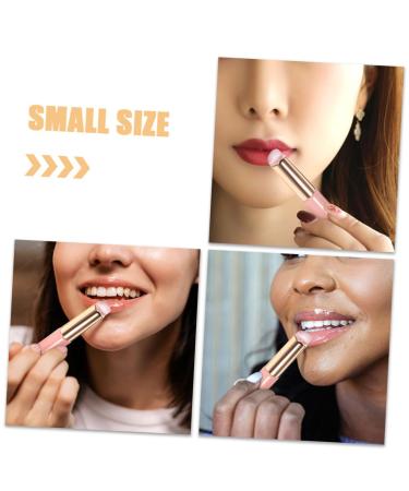 4pcs Lip Brush Set | Makeup Lip Applicator for Lip Balm & Lipstick - Pink with Cover | Ideal Women Makeup Tools - Buy Online on GoSupps.com