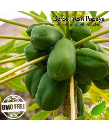 GERBS Unsweetened Dried Papaya Slices 2 LBS - Resealable Bag, Allergy Safe, Improve Vision & Energy, Reduce Stress - Gluten & Peanut Free - Buy Online on GoSupps.com