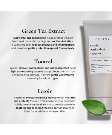 Anti-Aging Face Cleanser and Firming Lotion with Antioxidants and Green Tea Extract - Buy Online on GoSupps.com