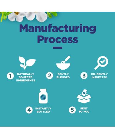 Nootropic Brain Supplement for Memory and Focus Enhancement - Vitamins for Brain, Mental Health & Clarity - Cognitive Health Complex for Mind's Vitality & Mental Alert - 60 Capsules - 2 Pack - Buy Online on GoSupps.com