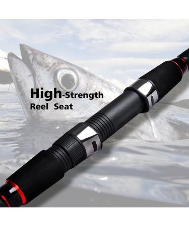 Fiblink Surf Spinning Fishing Rod 12ft & 10ft - Graphite Travel Rod | 2-Piece Design for Enhanced Performance - Buy Online on GoSupps.com