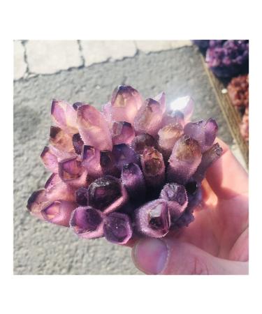 Natural Cluster Amethyst Specimen Purple QuartzStone Raw Home Decor Crafts (Size : 300-400g) ningxiao