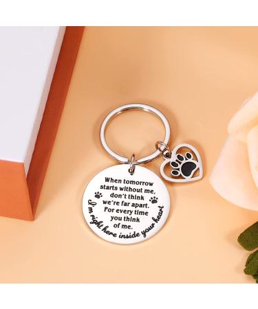 Pet Memorial Keychain - Dog Cat Remembrance Sympathy Gift in Silver - Buy Online on GoSupps.com