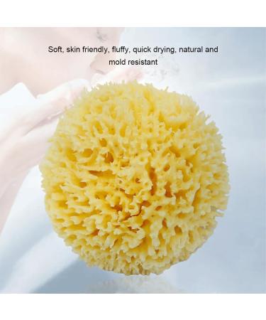 BOKIOESDE Natural Sea Sponge Super Soft And Skin Friendly Bathing Easy To Clean Natural Sea Sponges For Bathing Greek Sponge - Buy Online on GoSupps.com