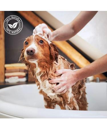 Talc Balancing Cream for Puppies & Kittens - 500ml | IV San Bernard - Gentle Cleaning for Young Animal Coats - Buy Online on GoSupps.com