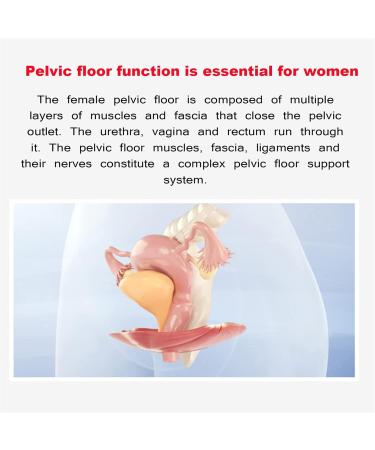 Jintaoma Pelvic Floor Restoration Instrument | Postpartum Recovery & Pelvic Health Support - Buy Online on GoSupps.com