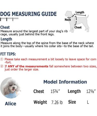 Dog Denim Overalls for Small & Medium Pets | Cute Costume Clothes for Boy & Girl Dogs | Yellow with Bear Embroidery - Buy Online on GoSupps.com