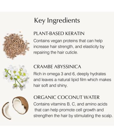 John Masters Naturals Overnight Hair Mask 4.2 oz | Plant Based Keratin & Crambe Abyssinica | 99% Natural | COSMOs Organic Certified | Vegan - Buy Online on GoSupps.com