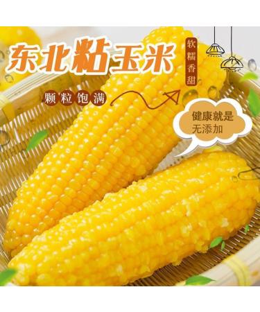 Delicious yellow glutinous corn stick sweet corn fresh corn vegetable snacks nutritious breakfast Coarse grains cereal Dim sum dessert sweets Chinese snack gift pack convenience food (8 bags) - Buy Online on GoSupps.com